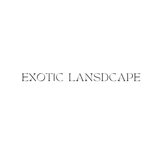 Exotic Landscape