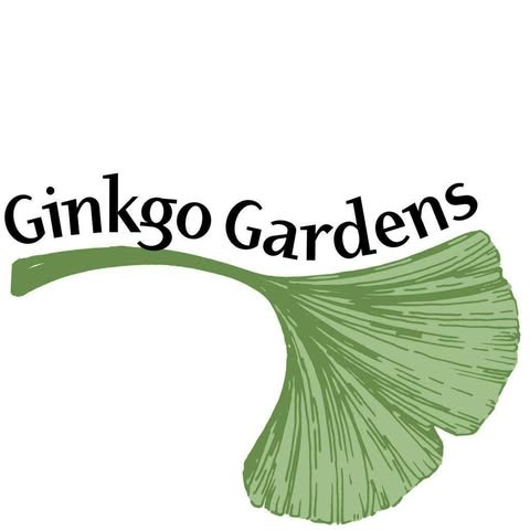 Ginkgo Gardens