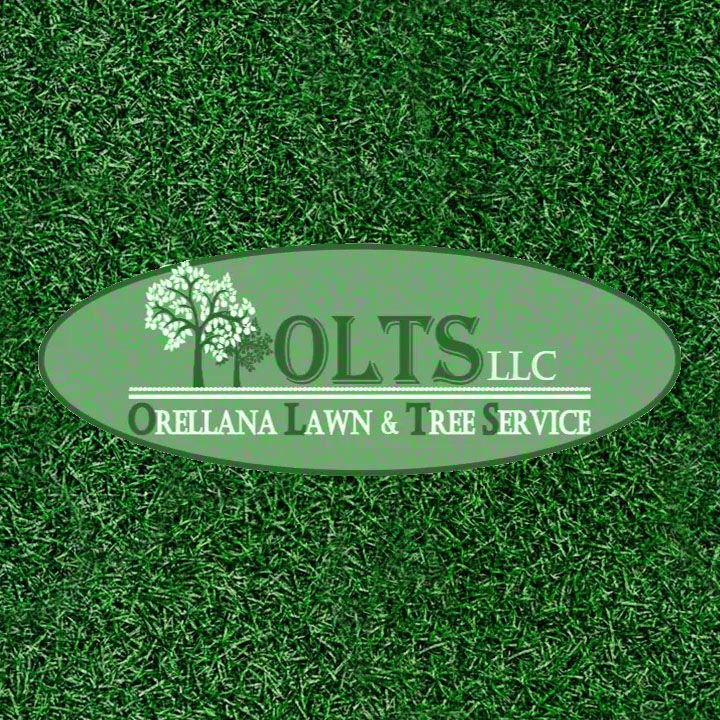 Orellana Lawn & Tree Services