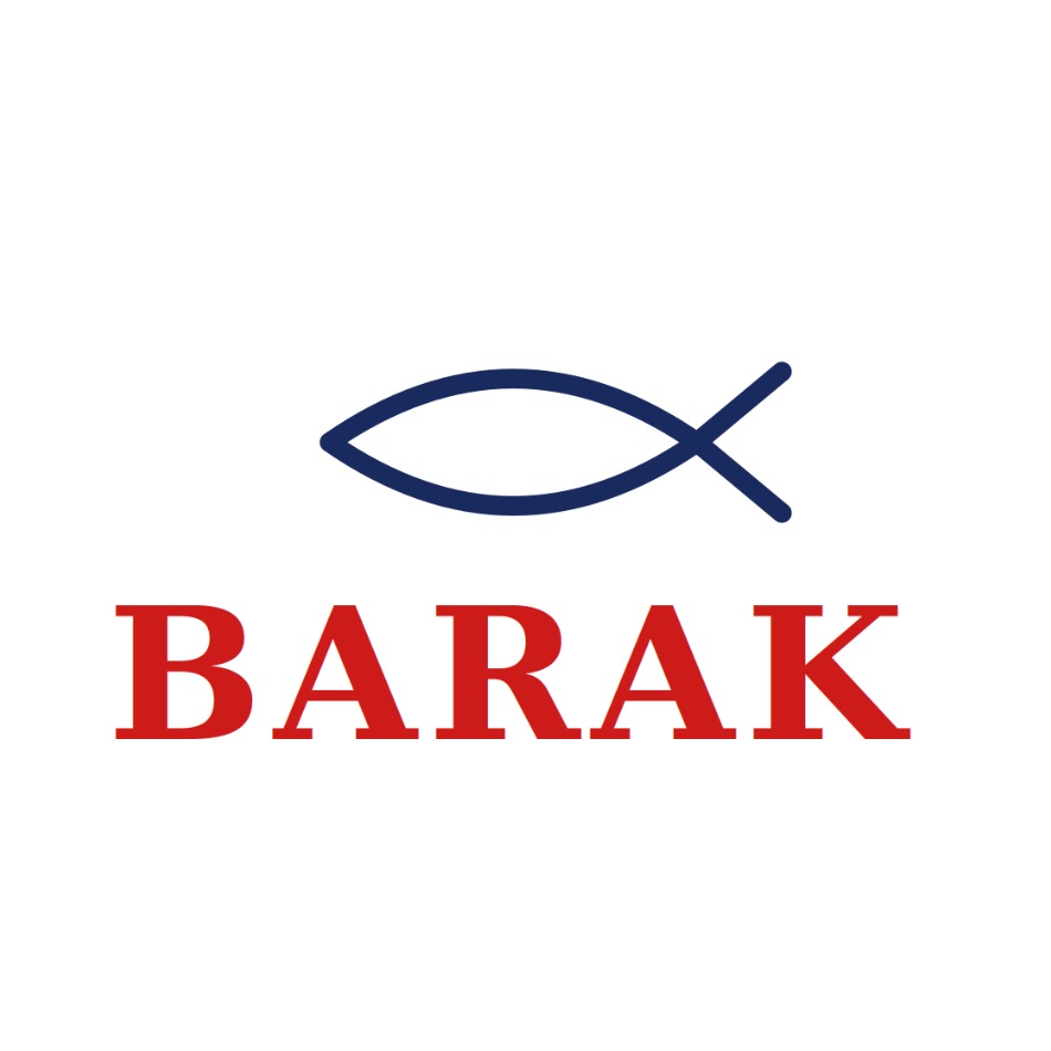 Barak Handy Man Service