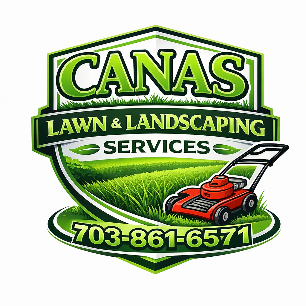 C Canas Lawn & Landscaping  Services