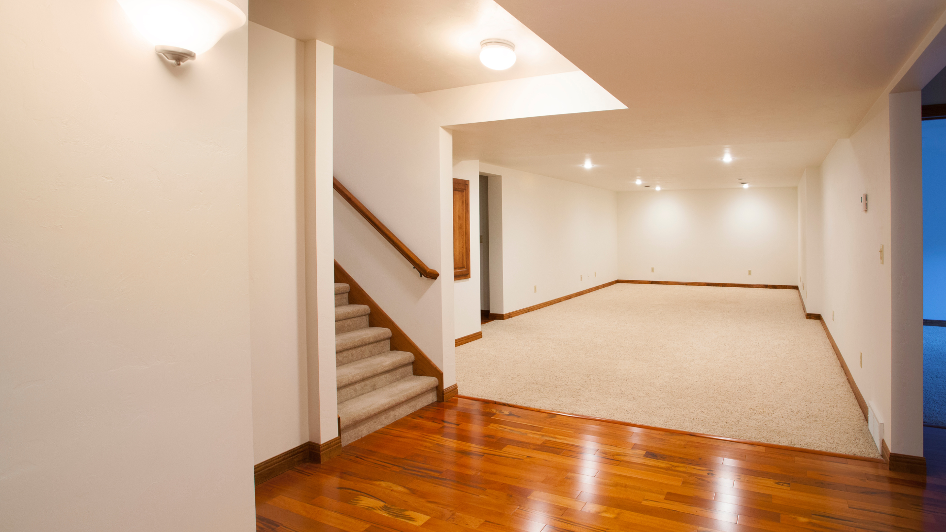 Nimbus article: Basement Mold Repair Success